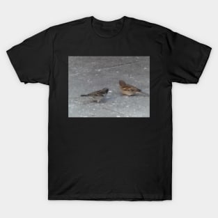 Finches T-Shirt